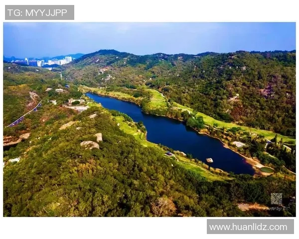 飞马与梦想的胜率较量探讨如何在追梦路上提升成功概率