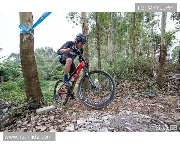 南京极限运动队战术表现的数据分析与策略优化研究