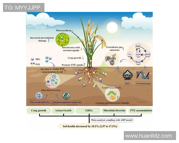 FPX快攻策略的成败分析与未来展望探讨